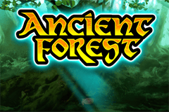 Ancient Forest