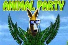 Animal Party