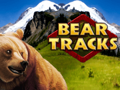 Bear Tracks