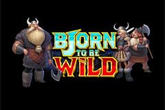 Bjorn to be Wild