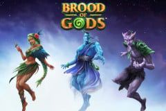 Brood of Gods™