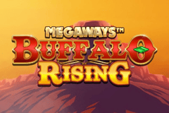 Buffalo Rising