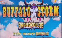 Buffalo Storm