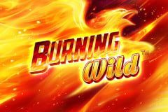 Burning Wild