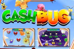 Cash Bug