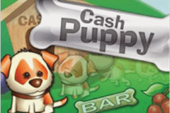 Cash Puppy