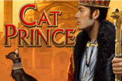 Cat Prince