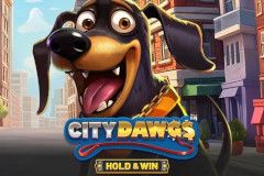 City Dawgs - Hold & Win™