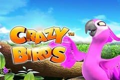 Crazy Birds