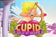 Cupid: Wild at Heart