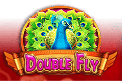 Double Fly