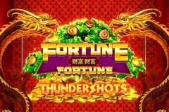 Fortune Fortune Thundershots