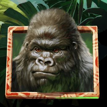 Gorilla Kingdom™