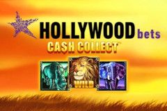Hollywood Bets: Cash Collect™