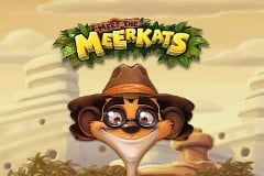 Meet the Meerkats
