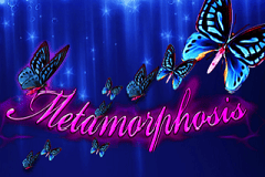 Metamorphosis
