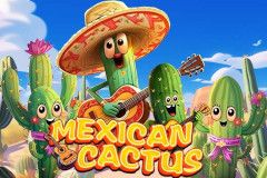 Mexican Cactus