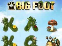 Mr. Big Foot