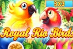 Royal Rio Birds 3x3
