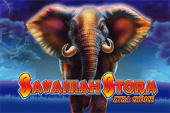 Savannah Storm Xtra Choice