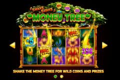 Shake Shake Money Tree