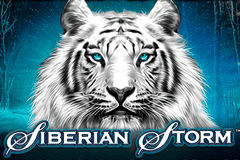 Siberian Storm Dual Play