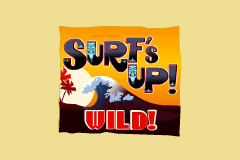 Surf's Up