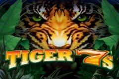 Tiger 7s