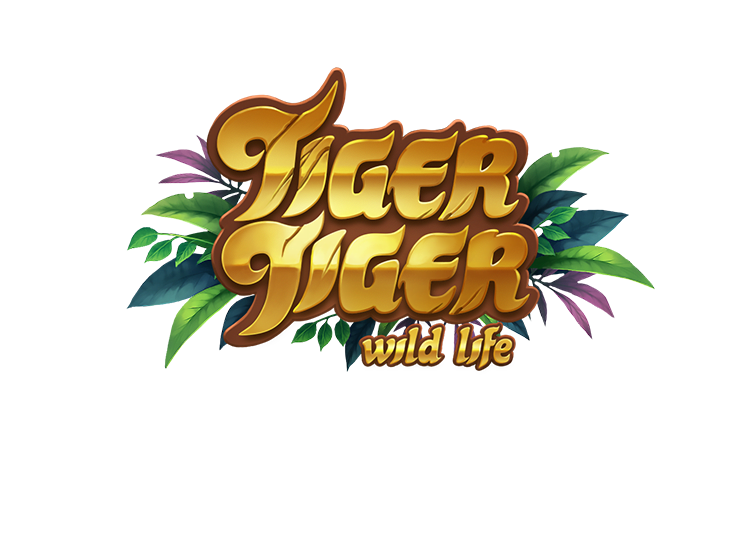 Tiger Tiger Wild Life