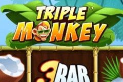 Triple Monkey
