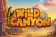 Wild Canyon
