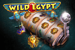 Wild Egypt