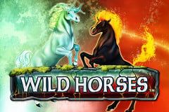 Wild Horses