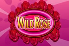Wild Rose