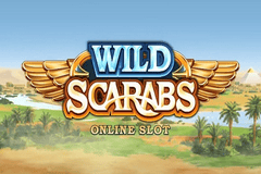 Wild Scarabs