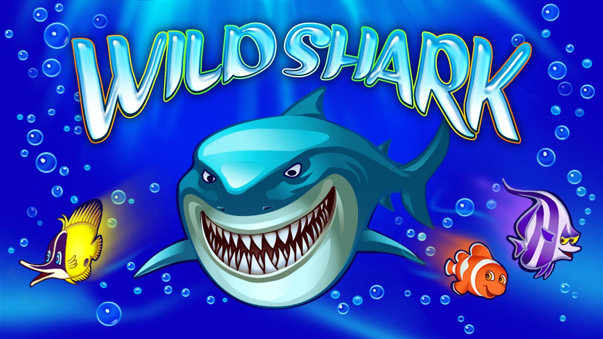 Wild Shark