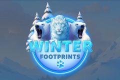 Winter Footprints