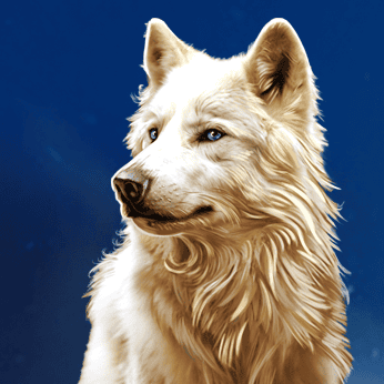 Wolf Stacks Megaways™